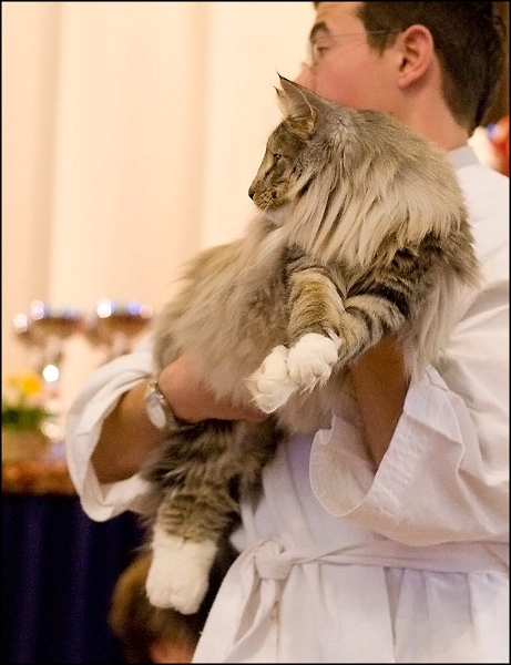 Valkeana's Cheyenne 2.jpg - Valkeana's Cheyenne